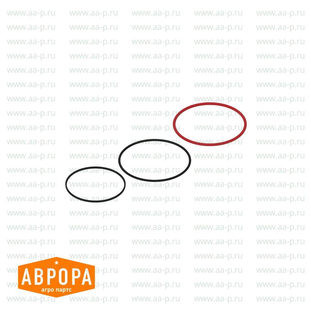 O-Ring-Satz
